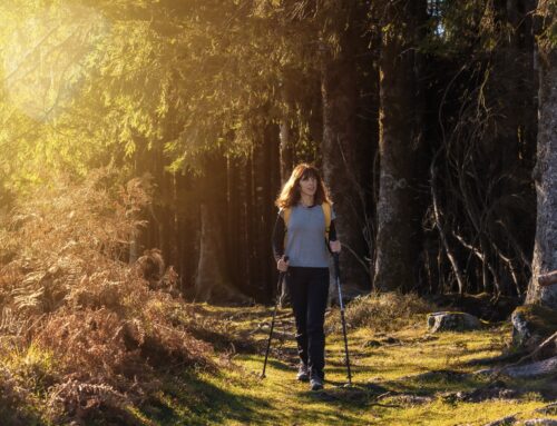 Nordic Walking Montabaur – dein Weg zu Fitness und Gesundheit
