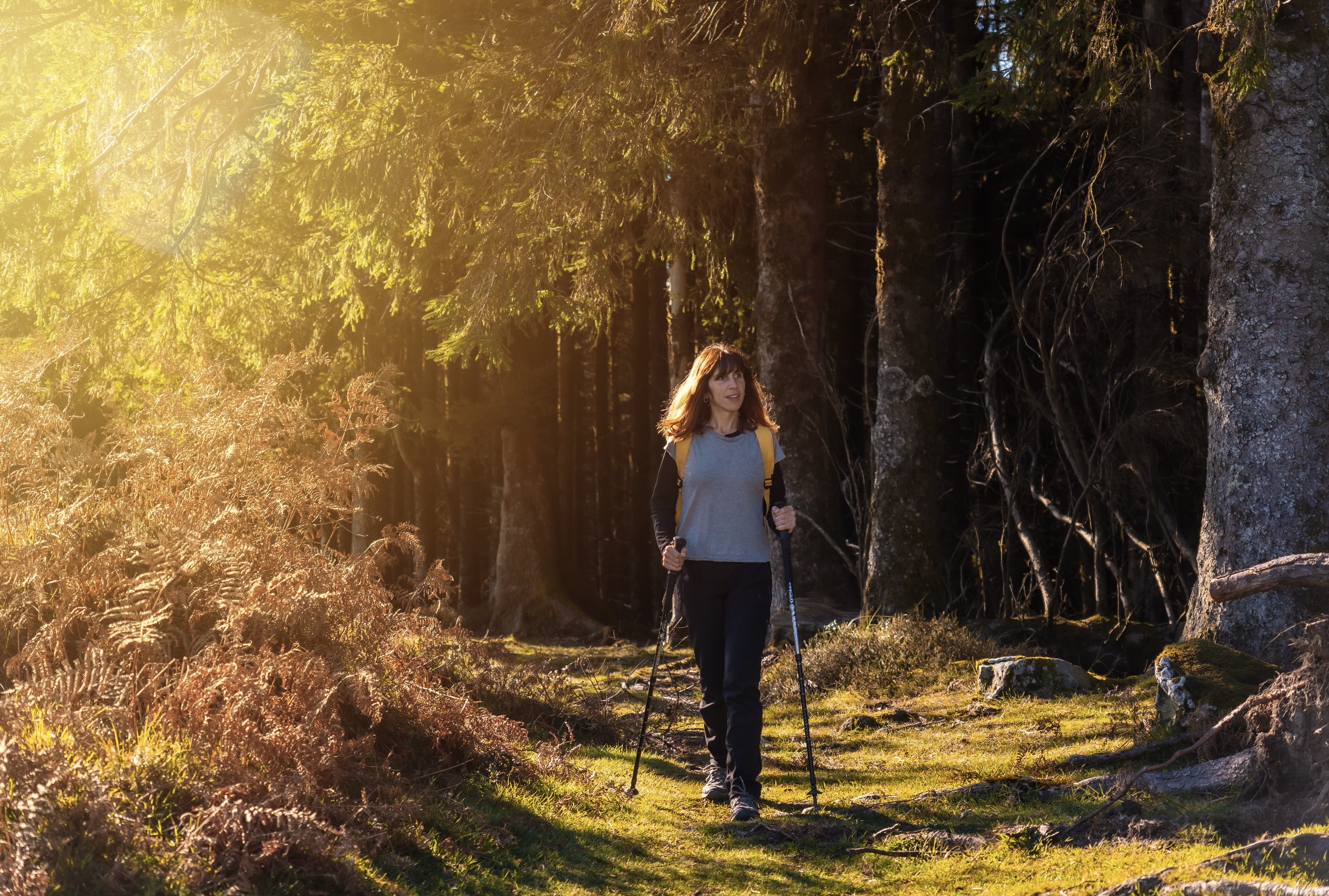 Nordic Walking Montabaur